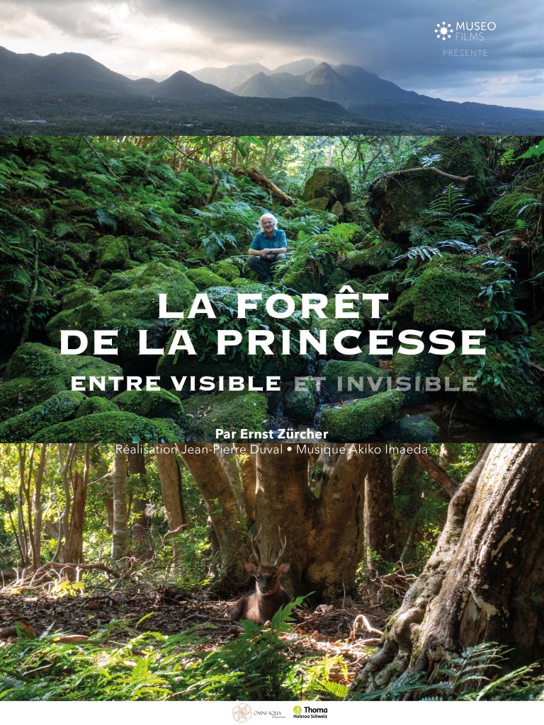 AFFICHE_La Forêt de la Princesse,entre Visible et Invisible_260414 2