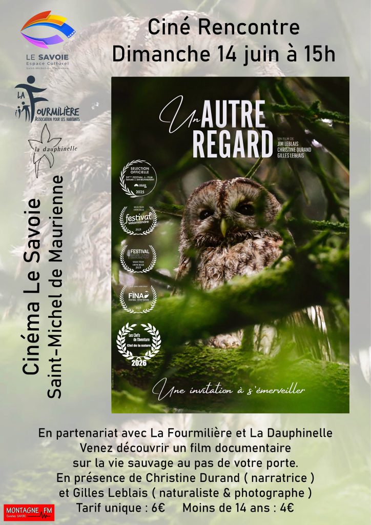 Sorties Dauphinelle - 7